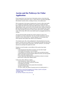 Auxins and the Pathways for Foliar Application