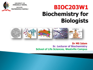 BIOC203W1_Lecture Slides_Enzymes