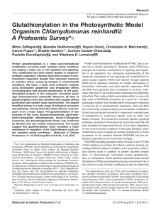 Glutathionylation in the Photosynthetic Model Organism