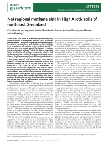 Net regional methane sink in High Arctic soils of northeast Greenland