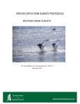 species detection survey protocols