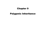 Chapter 9 Polygenic Inheritance