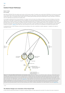 Principles of Neural Science - Weizmann Institute of Science