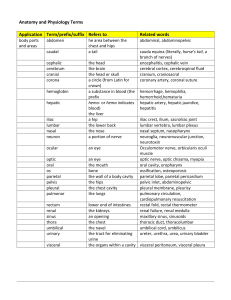 Anatomy and Physiology Terms Application Term/prefix/suffix Refers