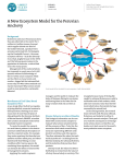 A New Ecosystem Model for the Peruvian Anchovy