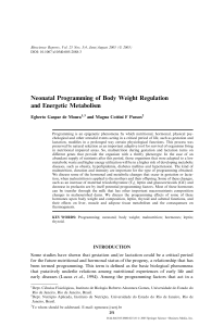 Neonatal Programming of Body Weight Regulation and Energetic
