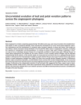 Uncorrelated evolution of leaf and petal venation patterns across the