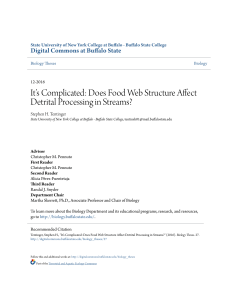 Does food web structure affect detrital processing in streams?