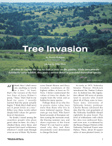 Tree Invasion