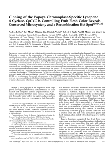 Cloning of the Papaya Chromoplast-Specific