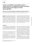 Tyrosine cross-linking of extracellular matrix is catalyzed by Duox, a