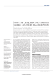 how the ubiquitin–proteasome system controls transcription