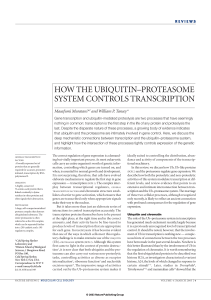 how the ubiquitin–proteasome system controls transcription