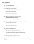 Group 1: Macromolecules