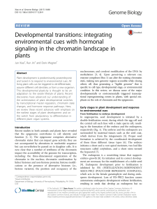 Developmental transitions: integrating
