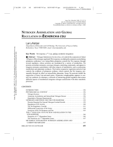 nitrogen assimilation and global regulation in escherichia coli