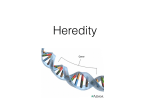 Heredity Presentation
