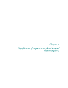 Chapter 2 Significance of sugars in exploration and metamorphosis