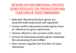 introns within ribosomal protein genes regulate the production and