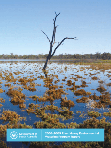 2008-2009 River Murray Environmental Watering Program Report