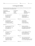 Cell Organelle Riddles