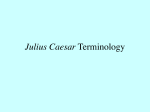 Julius Caesar Terminology