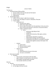 Bridget Lecture 2 Notes The Neurons o Functional classes (CNS