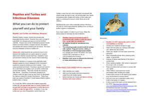 Reptiles and Turtles and Infectious Diseases