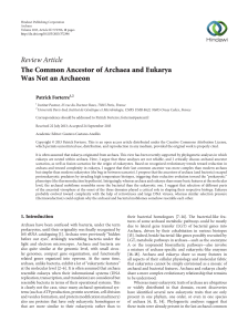 The Common Ancestor of Archaea and Eukarya Was Not an Archaeon