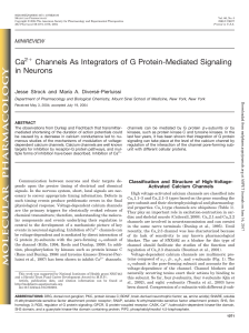 Ca Channels As Integrators of G Protein