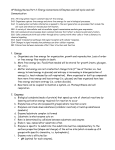 Exam Review Part 2: Energy Conversions, Enezymes, and Cells