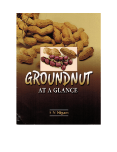 Groundnut at a Glance - UGA CAES