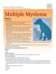 Multiple Myeloma - Milliken Animal Clinic