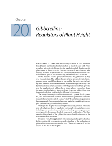 Gibberellins: Regulators of Plant Height