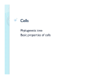 Phylogenetic tree Basic properties of cells