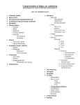 Categorization of Injury Diagnosis