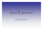 Gene Expression