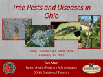Tree Pests and Diseases in Ohio