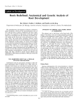 Roots Redefined: Anatomical and Cenetic Analysis of Root