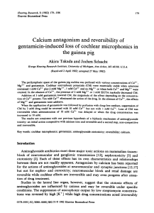 Calcium antagonism and reversibility of gentamicin