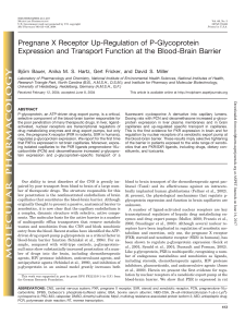 Pregnane X Receptor Up-Regulation of P