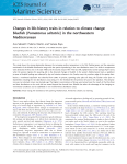 Changes in life-history traits in relation to climate change: bluefish