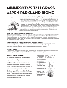 Minnesota`s Tallgrass Aspen Parkland Biome