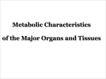 Metabolic Characteristics of the Major Organs and Tissues