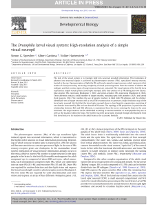 Sprecher_2011_larval.. - Institute of Neuroinformatics