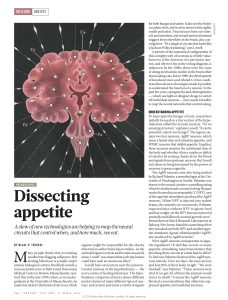 Dissecting appetite
