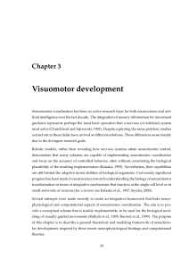 Visuomotor development