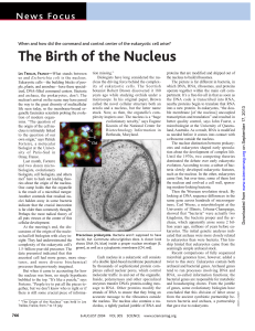 The Birth of the Nucleus