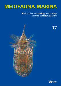 meiofauna marina - Gastrotricha >> Homepage