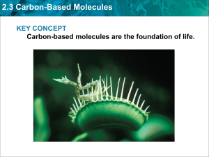 2.3 Carbon-Based Molecules